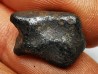 Météorite : SIDERITE IIAB de SIKHOTE ALIN, Russie