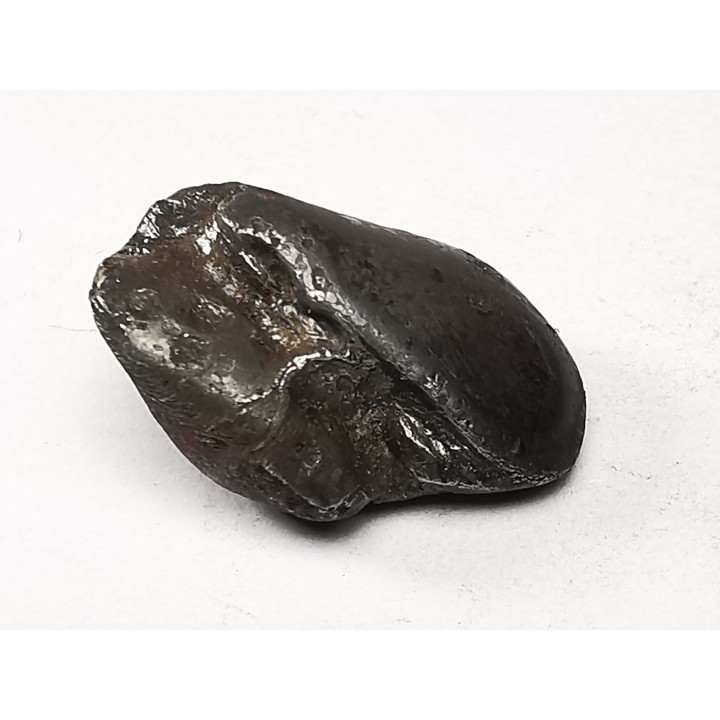 METEORITE: SIDERITE IIAB from SIKHOTE ALIN, Russia