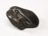 Météorite : SIDERITE IIAB de SIKHOTE ALIN, Russie