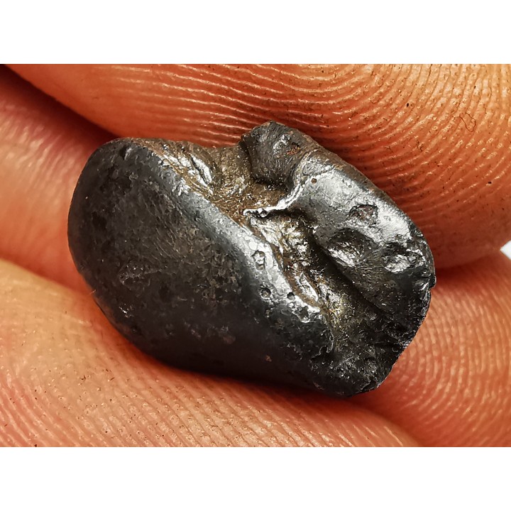 Météorite : SIDERITE IIAB de SIKHOTE ALIN, Russie