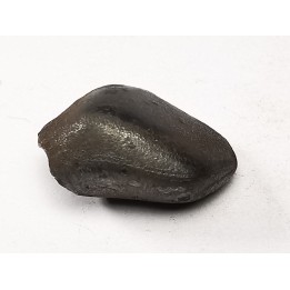 Météorite : SIDERITE IIAB de SIKHOTE ALIN, Russie