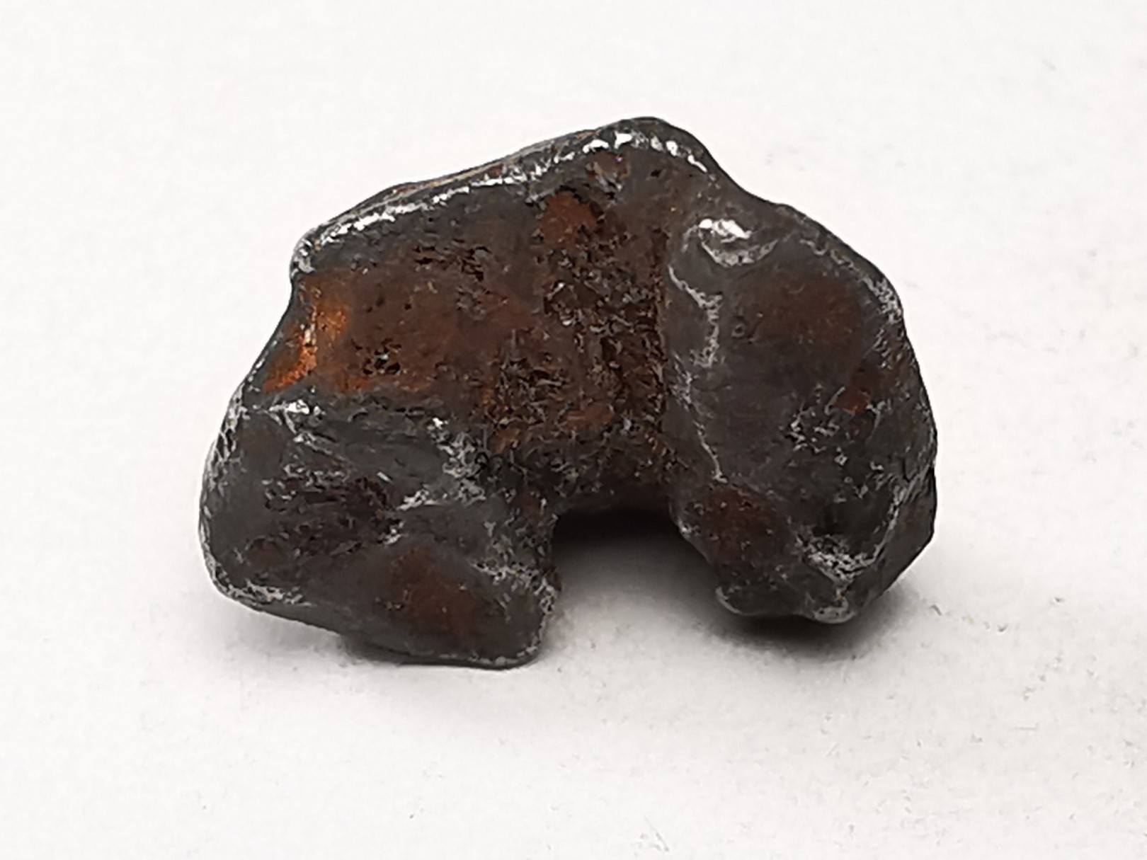 METEORITE: SIDERITE IIAB from SIKHOTE ALIN, Russia