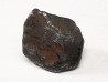 Météorite : SIDERITE IIAB de SIKHOTE ALIN, Russie