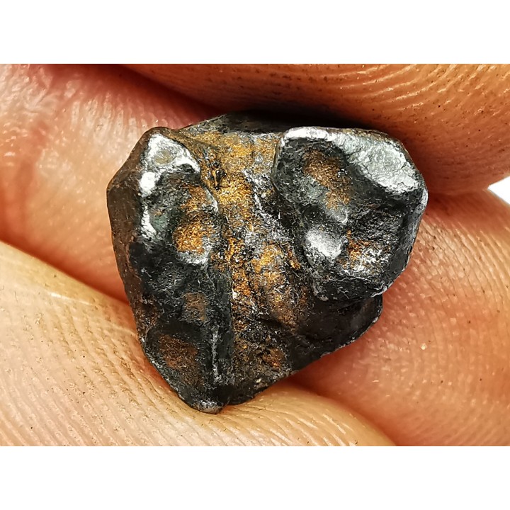 METEORITE: SIDERITE IIAB from SIKHOTE ALIN, Russia