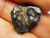 Météorite : SIDERITE IIAB de SIKHOTE ALIN, Russie