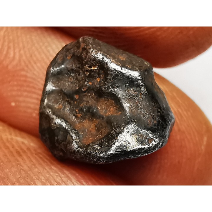 METEORITE: SIDERITE IIAB from SIKHOTE ALIN, Russia