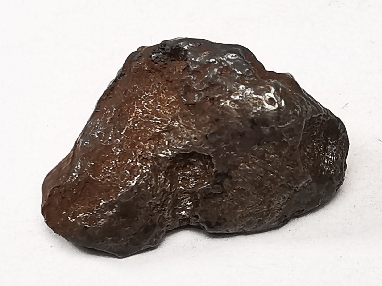 Météorite : SIDERITE IIAB de SIKHOTE ALIN, Russie