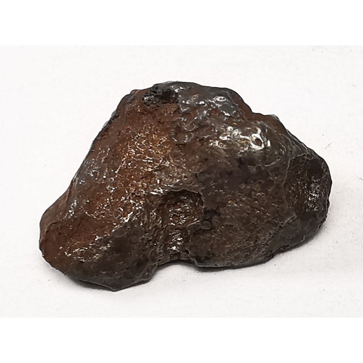 Météorite : SIDERITE IIAB de SIKHOTE ALIN, Russie