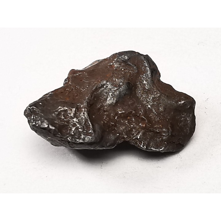 METEORITE: SIDERITE IIAB from SIKHOTE ALIN, Russia