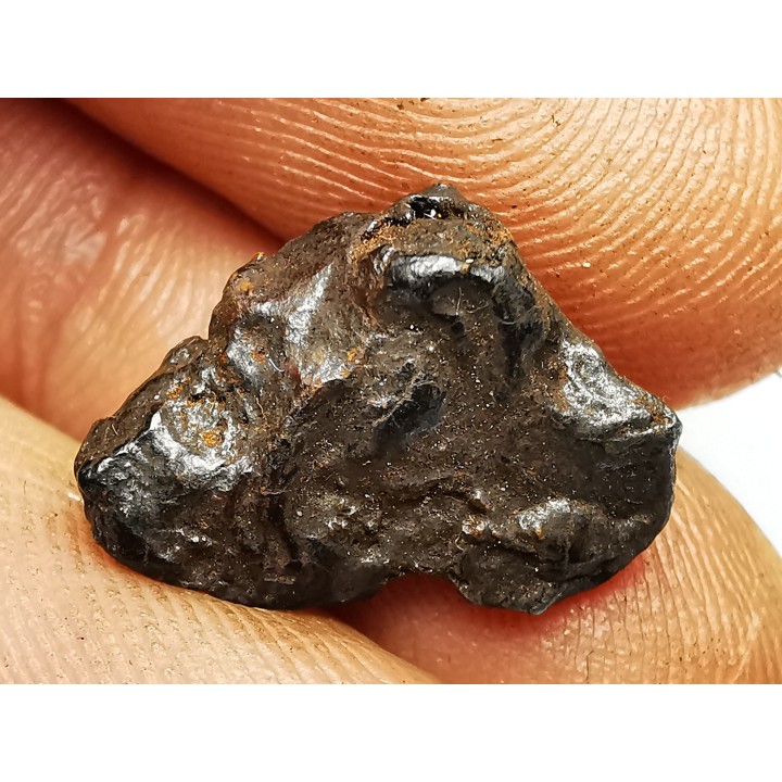 Météorite : SIDERITE IIAB de SIKHOTE ALIN, Russie