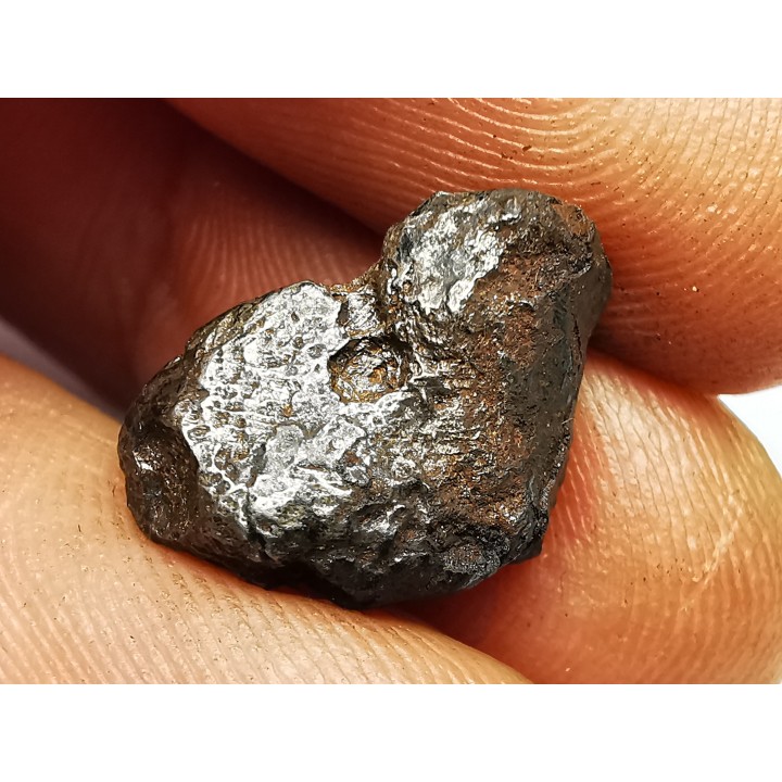 Météorite : SIDERITE IIAB de SIKHOTE ALIN, Russie