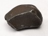 Météorite : SIDERITE IIAB de SIKHOTE ALIN, Russie