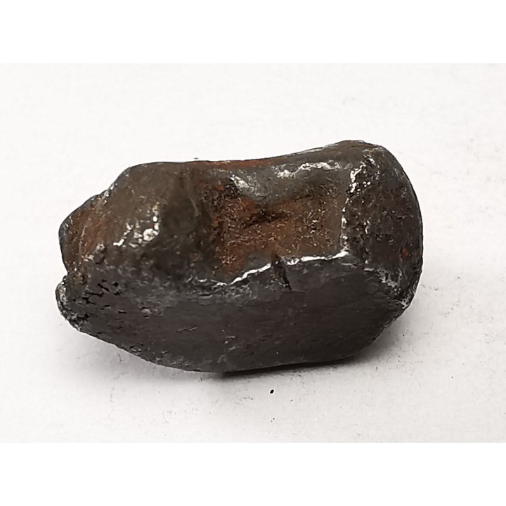 Météorite : SIDERITE IIAB de SIKHOTE ALIN, Russie