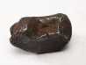 METEORITE: SIDERITE IIAB from SIKHOTE ALIN, Russia