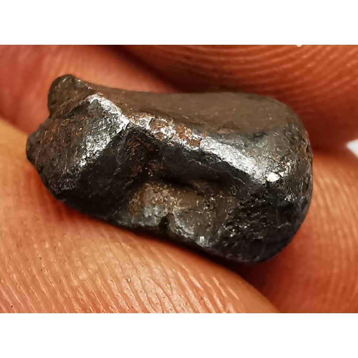 Météorite : SIDERITE IIAB de SIKHOTE ALIN, Russie
