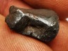 METEORITE: SIDERITE IIAB from SIKHOTE ALIN, Russia