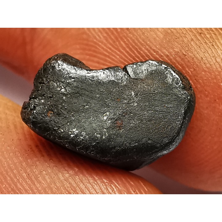 METEORITE: SIDERITE IIAB from SIKHOTE ALIN, Russia