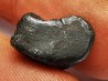Météorite : SIDERITE IIAB de SIKHOTE ALIN, Russie