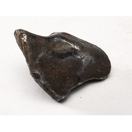 Météorite : SIDERITE IIAB de SIKHOTE ALIN, Russie