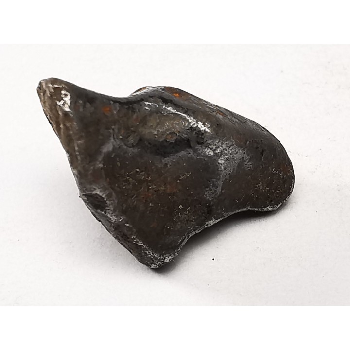 Météorite : SIDERITE IIAB de SIKHOTE ALIN, Russie