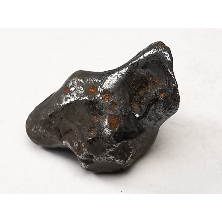 METEORITE: SIDERITE IIAB from SIKHOTE ALIN, Russia