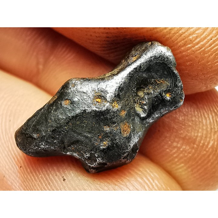 Météorite : SIDERITE IIAB de SIKHOTE ALIN, Russie