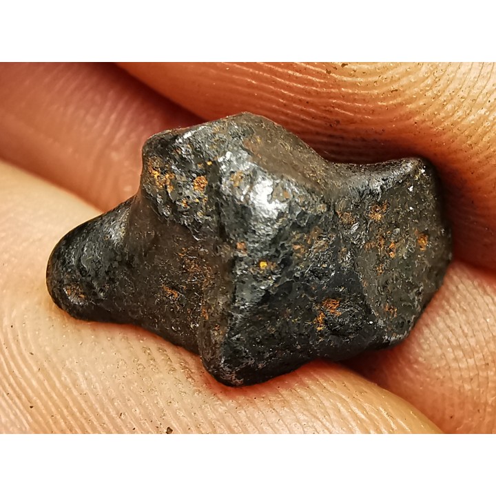 METEORITE: SIDERITE IIAB from SIKHOTE ALIN, Russia