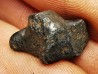 Météorite : SIDERITE IIAB de SIKHOTE ALIN, Russie