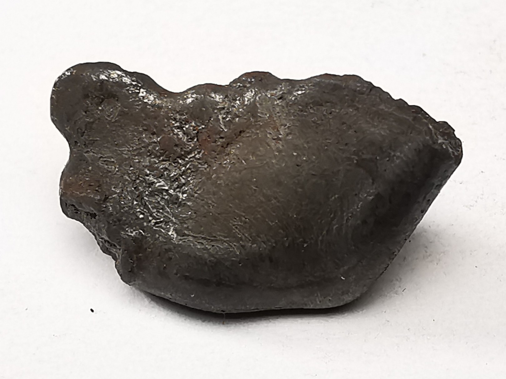 Météorite : SIDERITE IIAB de SIKHOTE ALIN, Russie