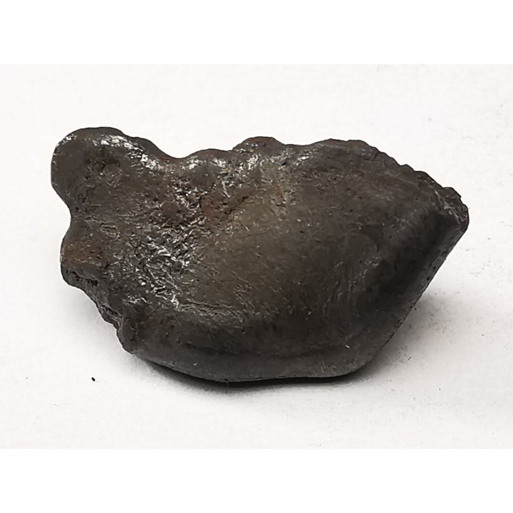 Météorite : SIDERITE IIAB de SIKHOTE ALIN, Russie