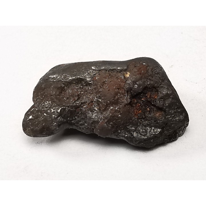 METEORITE: SIDERITE IIAB from SIKHOTE ALIN, Russia
