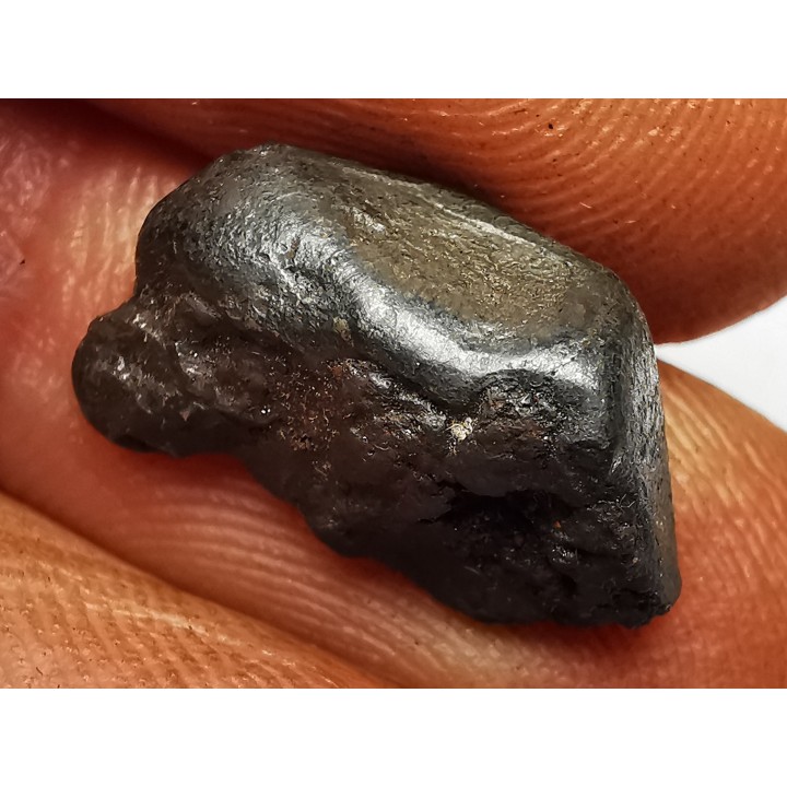 METEORITE: SIDERITE IIAB from SIKHOTE ALIN, Russia
