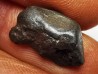 Météorite : SIDERITE IIAB de SIKHOTE ALIN, Russie
