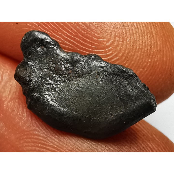 METEORITE: SIDERITE IIAB from SIKHOTE ALIN, Russia