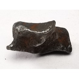 Météorite : SIDERITE IIAB de SIKHOTE ALIN, Russie