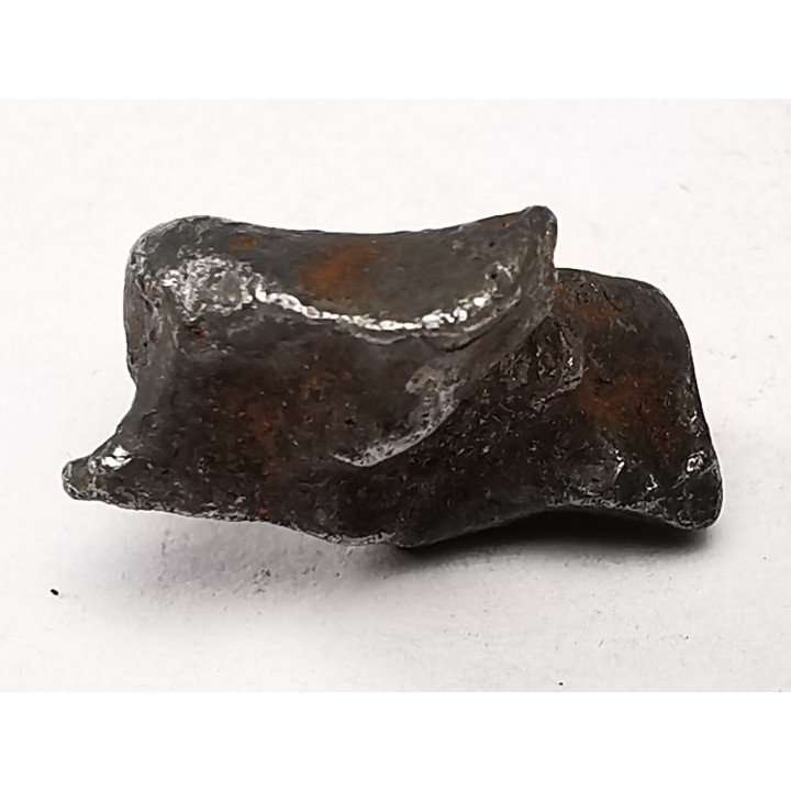 Météorite : SIDERITE IIAB de SIKHOTE ALIN, Russie