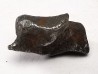 Météorite : SIDERITE IIAB de SIKHOTE ALIN, Russie