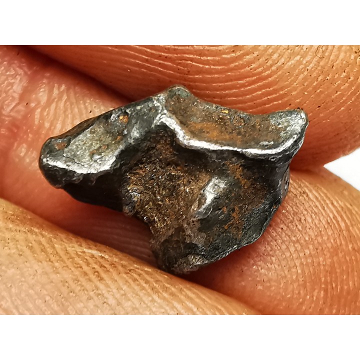 Météorite : SIDERITE IIAB de SIKHOTE ALIN, Russie