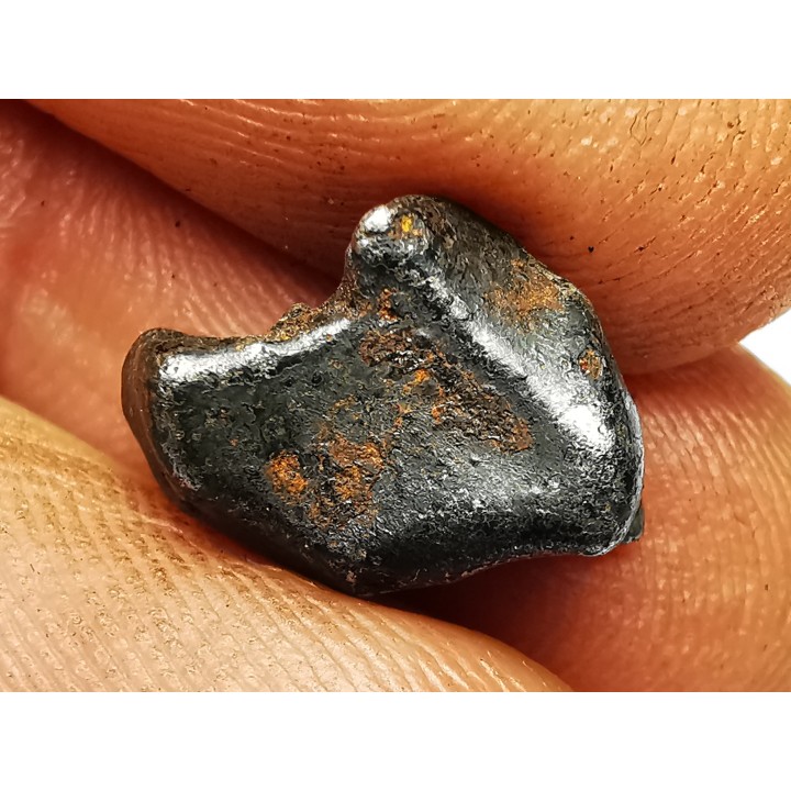 Météorite : SIDERITE IIAB de SIKHOTE ALIN, Russie