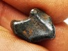 Météorite : SIDERITE IIAB de SIKHOTE ALIN, Russie