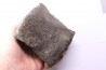 whale vertebra - pliocene - Doel - Belgium