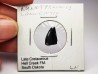 dinosaur tooth Nanotyrannus lancensis - Maastrichtian (South Dakota)