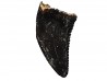 dent de dinosaure Sauronitholestes langstoni - Maastrichtien (Sud Dakota)