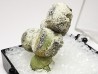 Crandallite after Wavellite, Arkansas