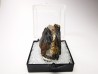 Niobophyllite du Mt Malosa, Malawi
