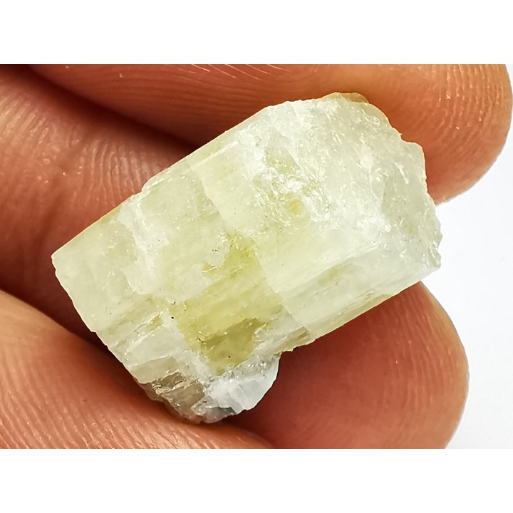 Beryl from Menez-Goaillou, Brittany, France