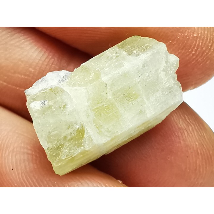 Beryl from Menez-Goaillou, Brittany, France