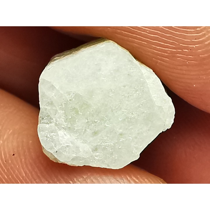 Beryl from Menez-Goaillou, Brittany, France