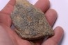 trilobit's COPROLITHES : TOMACULUM PROBLEMATICUM - Ordovician - Maine et Loire, FRANCE