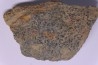 trilobit's COPROLITHES : TOMACULUM PROBLEMATICUM - Ordovician - Maine et Loire, FRANCE